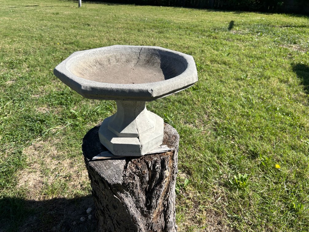 Short Concrete Pedestal Bird Bath