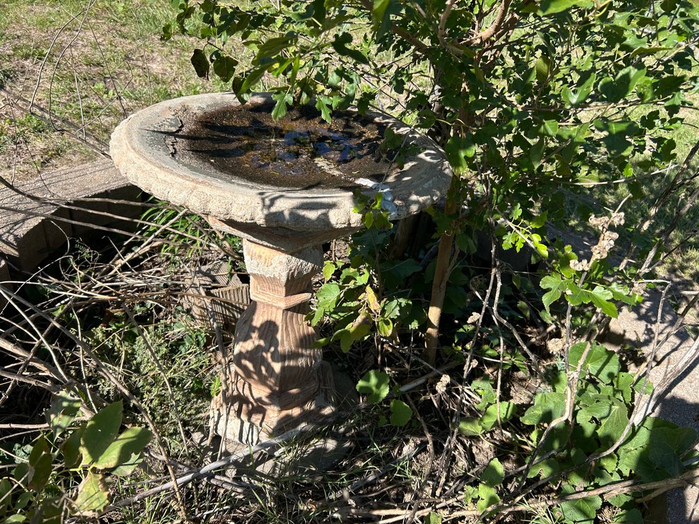 Concrete Bird Bath