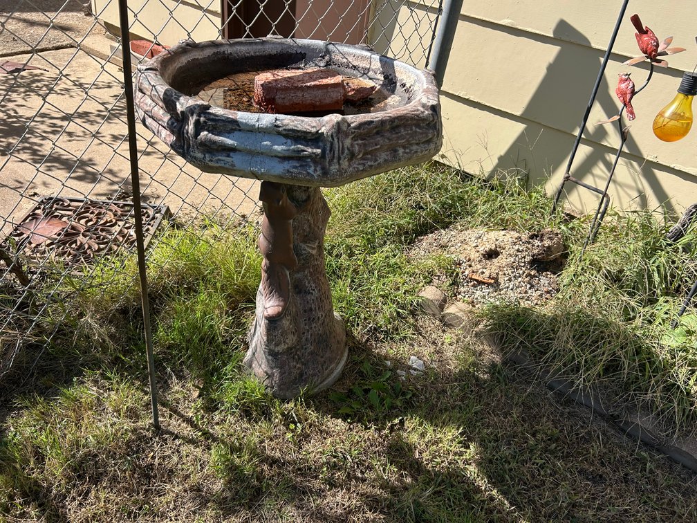 Concrete Bird Bath has a Squirrel Design on the Pedestal