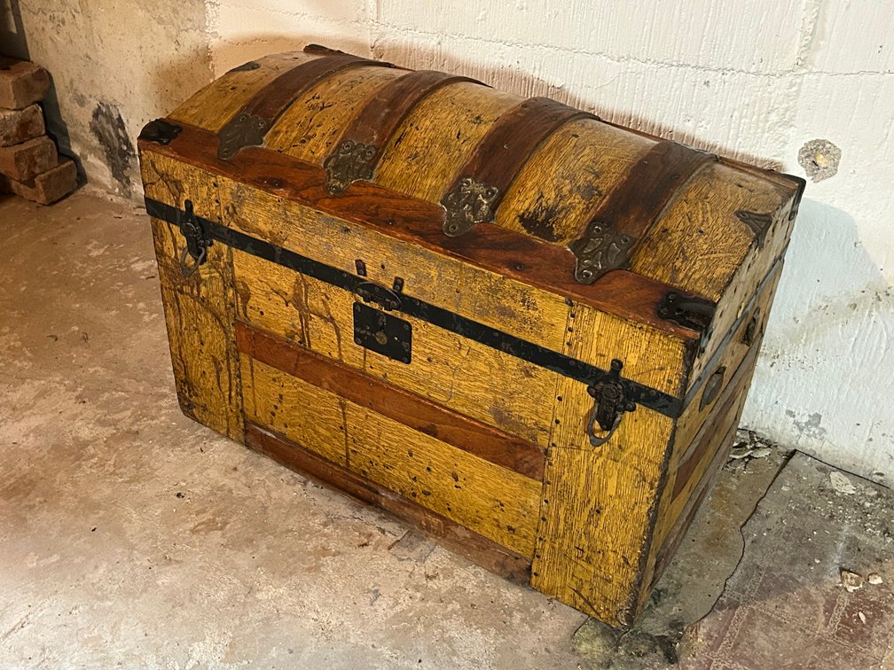 Camelback Trunk