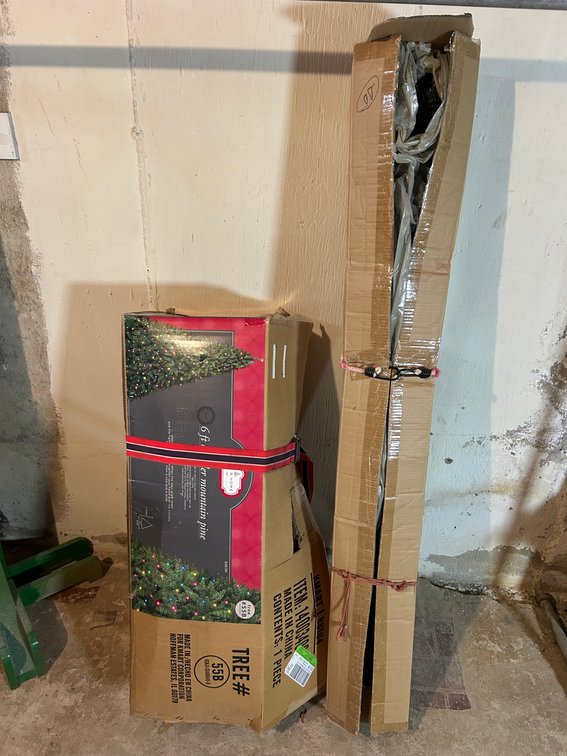 Pair of Christmas Trees