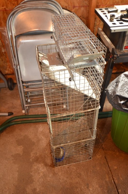 Image for LAWN MOWERS, TRAILER, LAWN&GARDEN, TOOLS, FISHING, COLLECTIBLES, AND HOUSEHOLD - Mondovi, WI (Meridean)