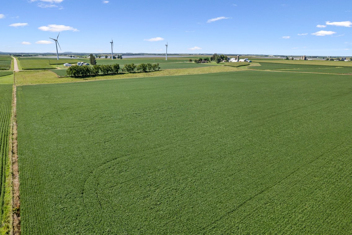 Image for 80 ACRES IN IOWA COUNTY, WI - REAL ESTATE