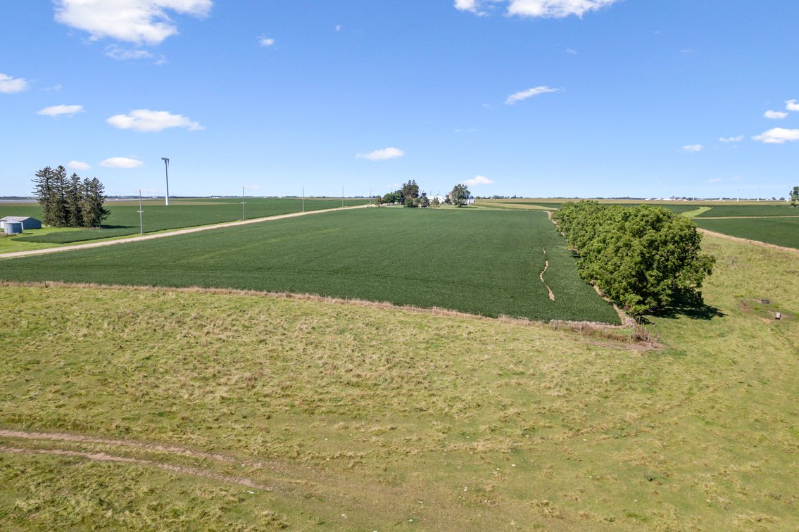 Image for 80 ACRES IN IOWA COUNTY, WI - REAL ESTATE