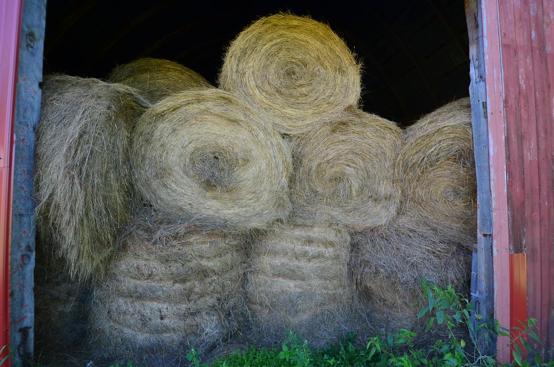 Image for TRACTORS, VEHICLES, FARM EQUIP, SHOP TOOLS, PERSONAL PROPERTY - Mondovi, WI