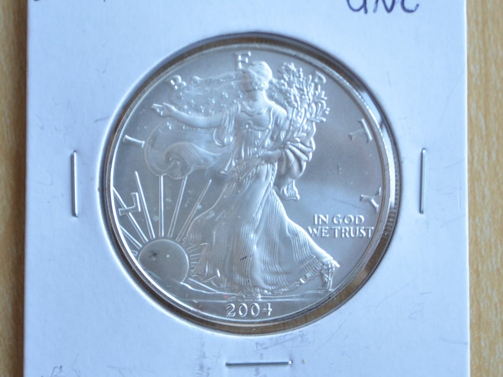 2004 Silver Eagle Coin