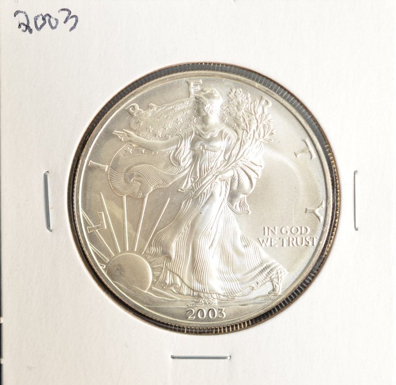 2003 Silver Eagle Coin