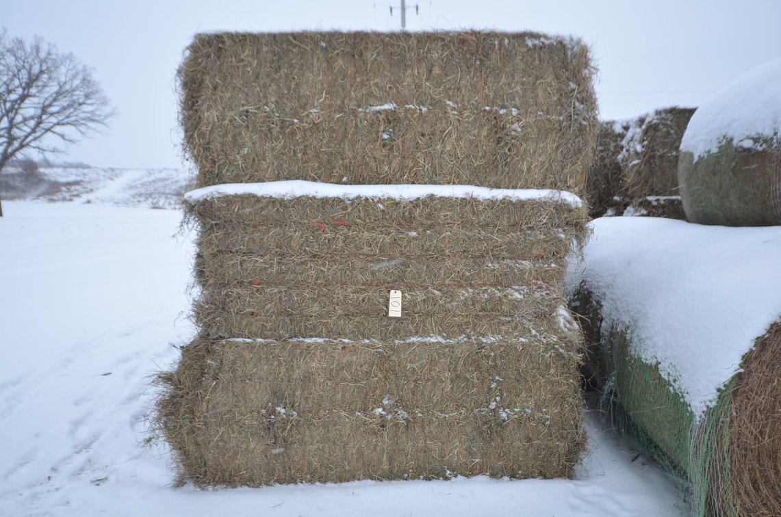 Hay - Large Squares, 1st Crop