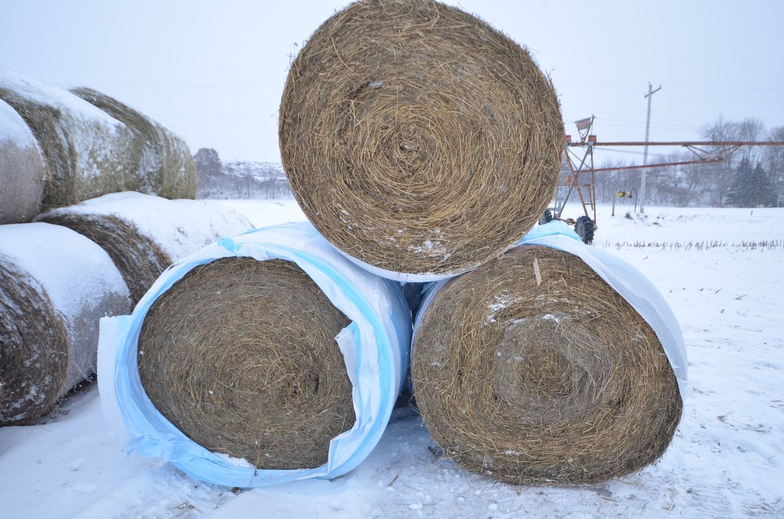 Hay - Large Rounds, 2nd Crop, Grass/Alfalfa