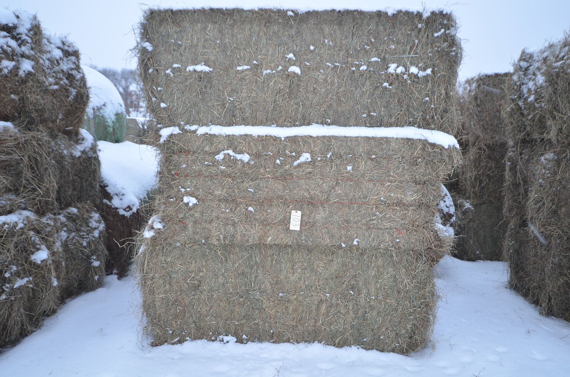 Hay - Large Squares, 1st Crop