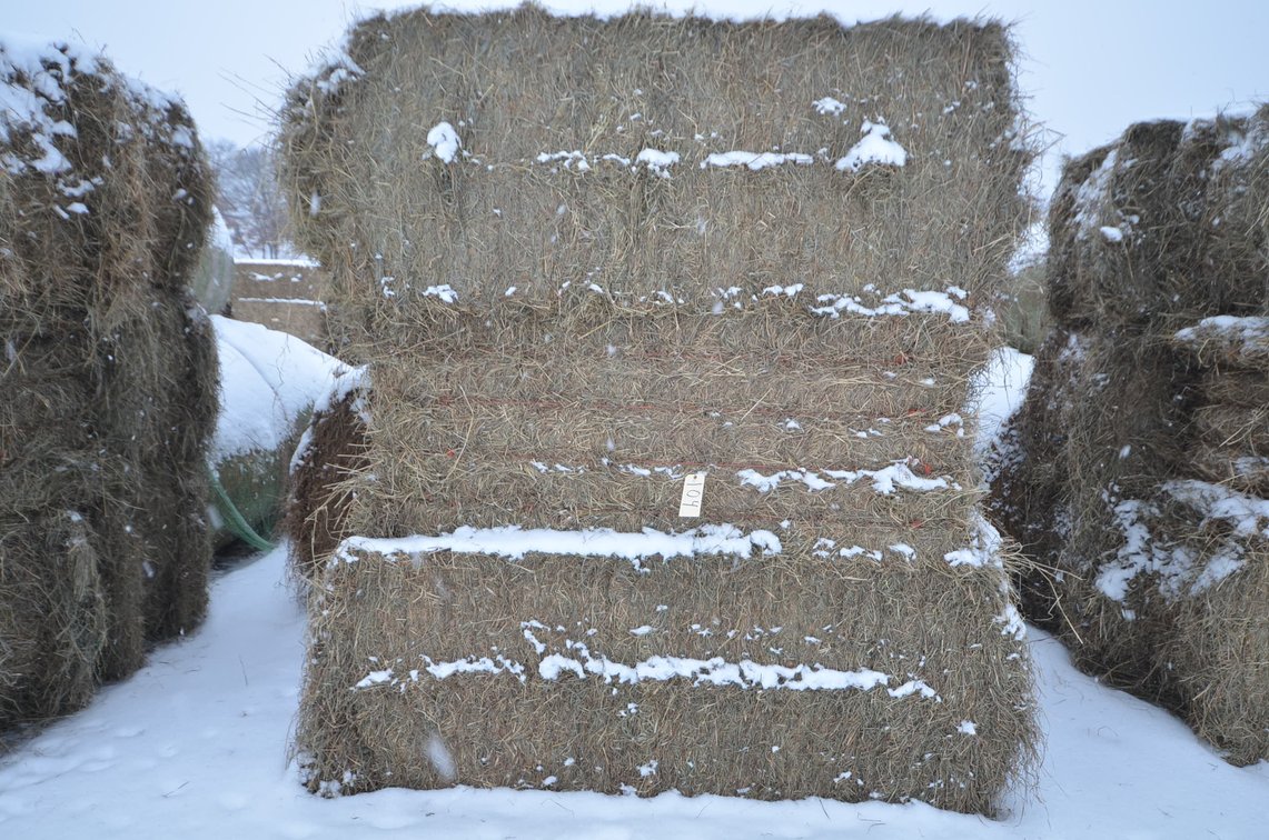 Hay - Large Squares, 1st Crop