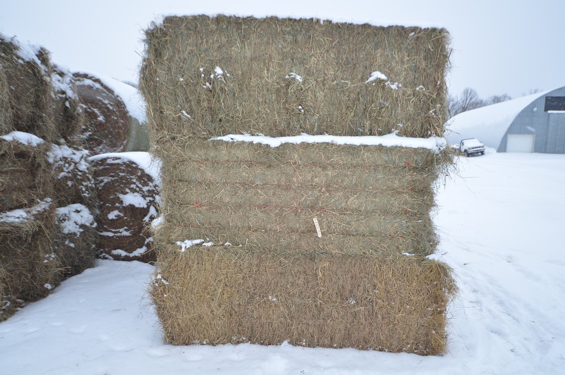 Hay - Large Squares, 1st Crop