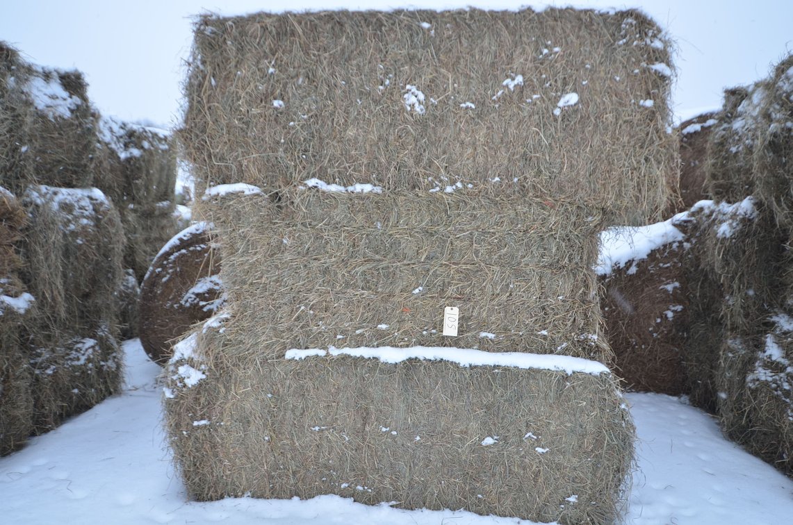 Hay - Large Squares, 1st Crop