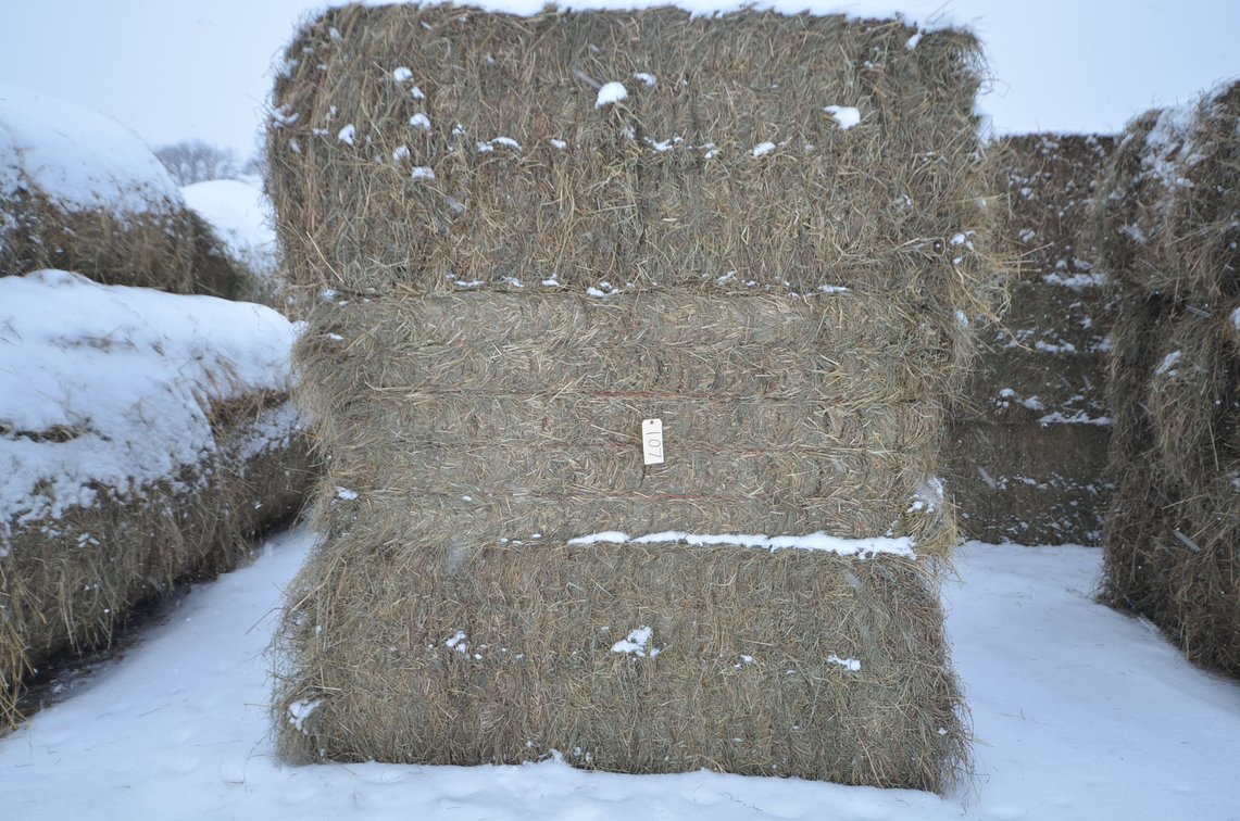 Hay - Large Squares, 1st Crop