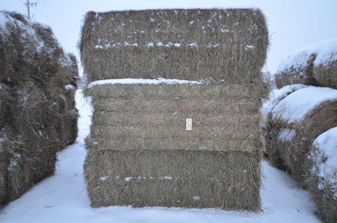 Hay - Large Squares, 1st Crop