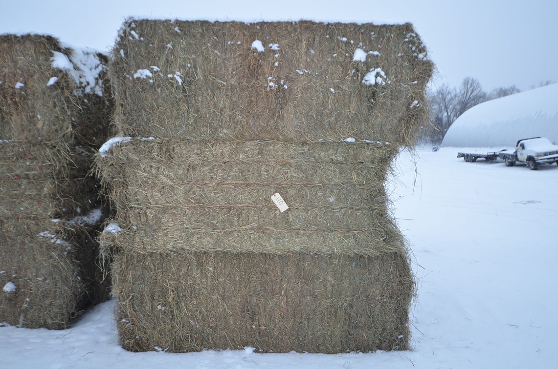 Hay - Large Squares, 1st Crop