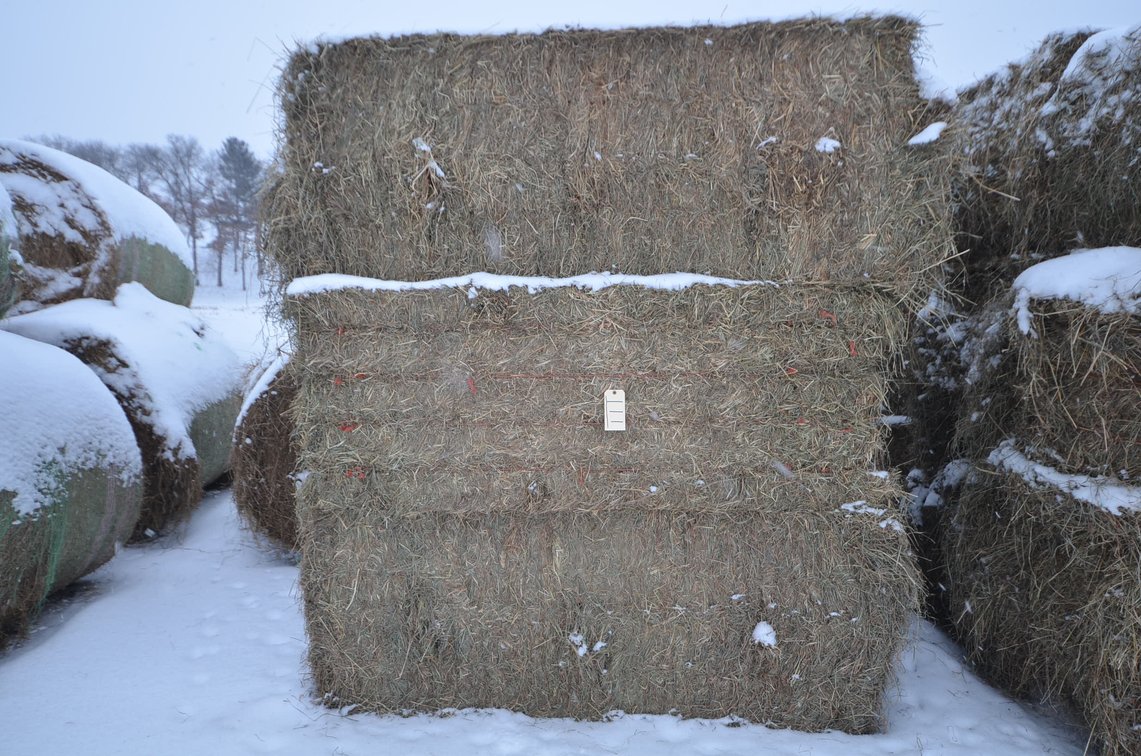 Hay - Large Squares, 1st Crop