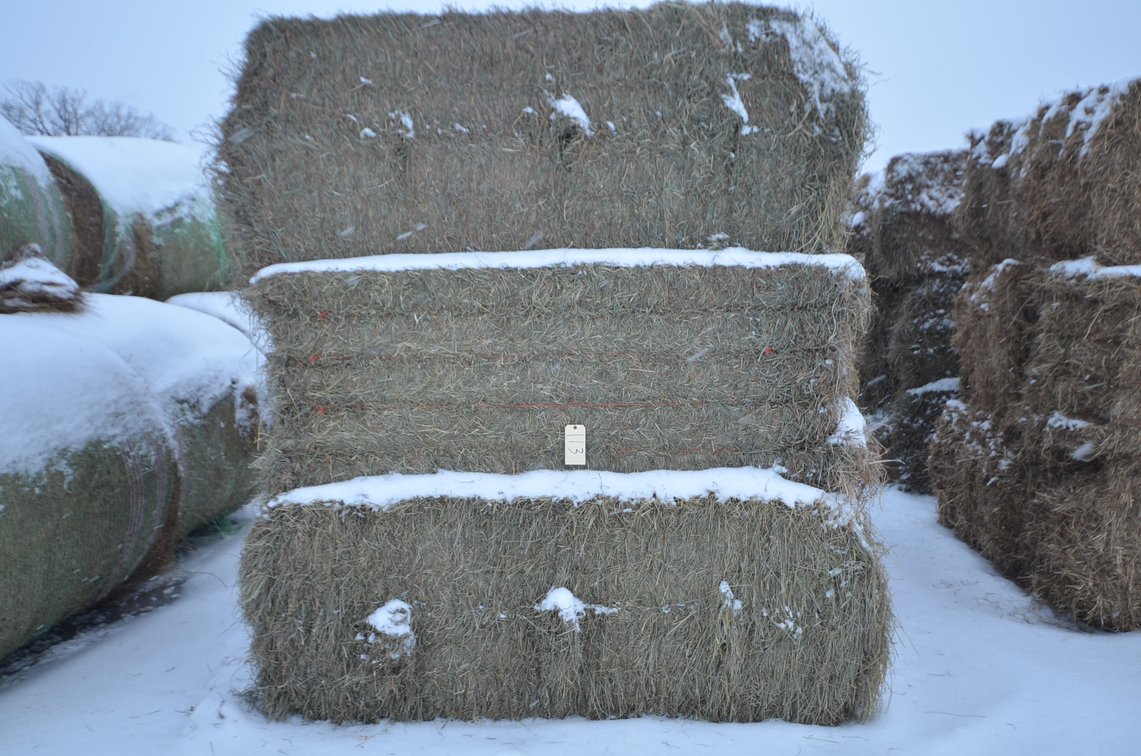 Hay - Large Squares, 2nd Crop