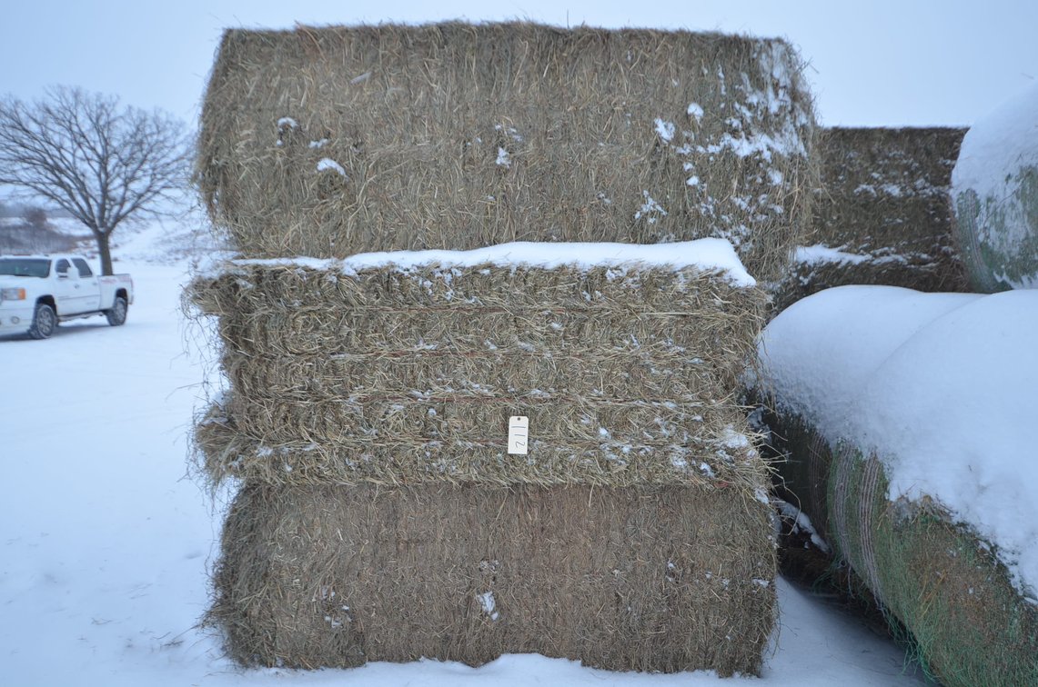 Hay - Large Squares, 1st Crop