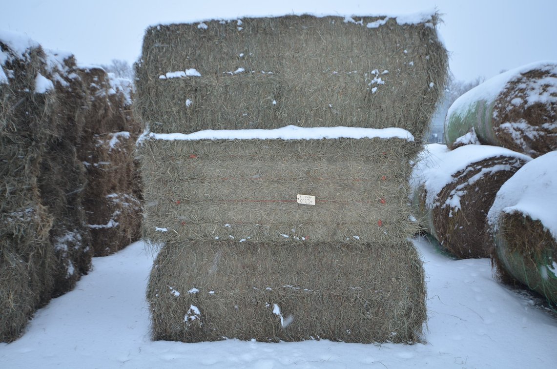 Hay - Large Squares, 2nd Crop