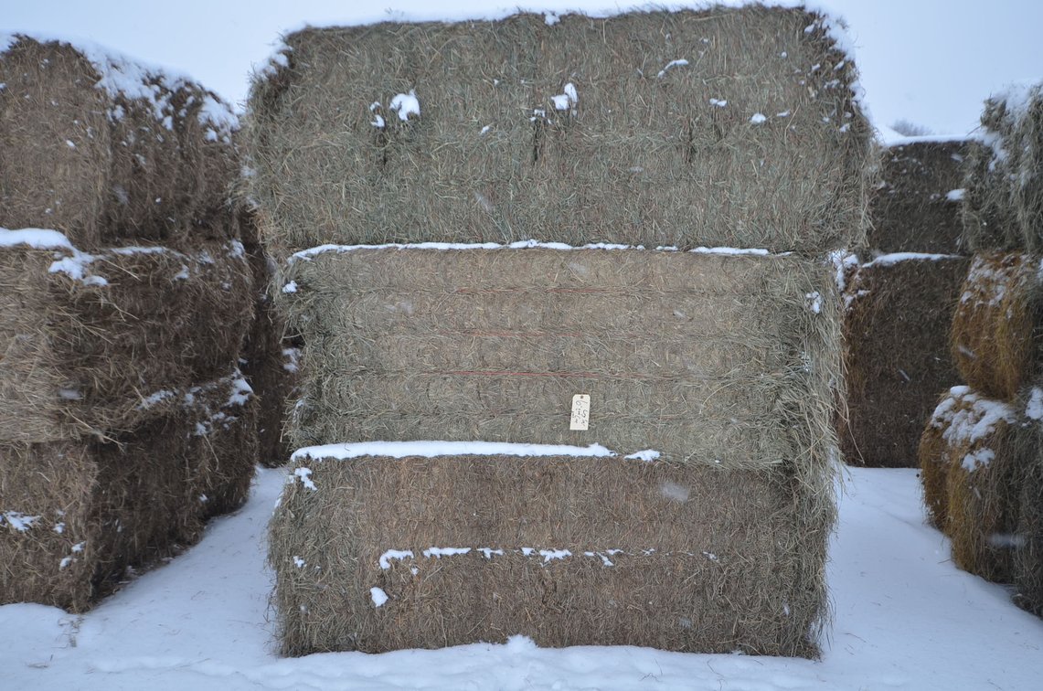 Hay - Large Squares, 2nd Crop