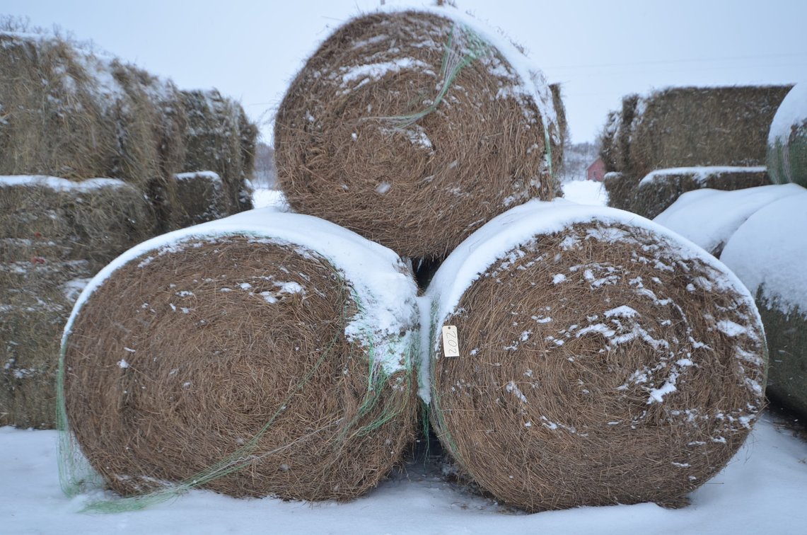 Hay - Large Rounds, 2nd Crop, Grass