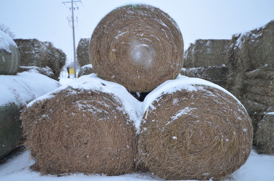 Hay - Large Rounds, 2nd Crop, Grass