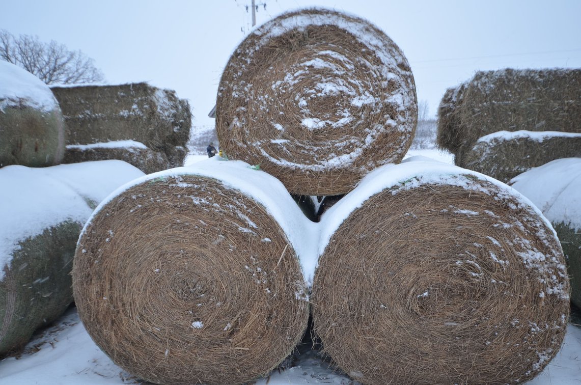 Hay - Large Rounds, 2nd Crop, Grass