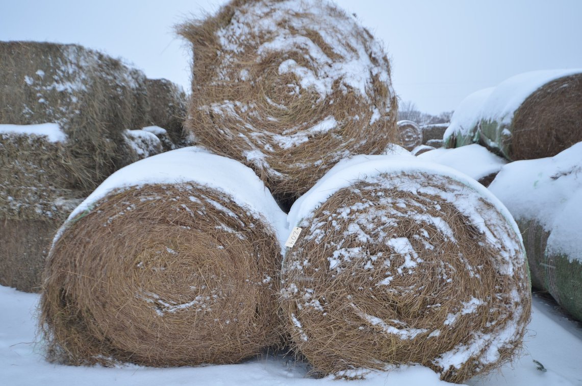 Hay - Large Rounds, 2nd Crop, Grass