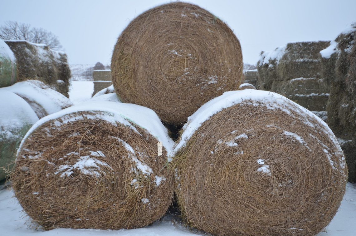 Hay - Large Rounds, 2nd Crop, Grass