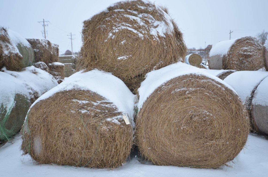 Hay - Large Rounds, 2nd Crop, Grass