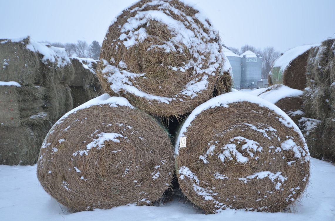 Hay - Large Rounds, 2nd Crop, Grass