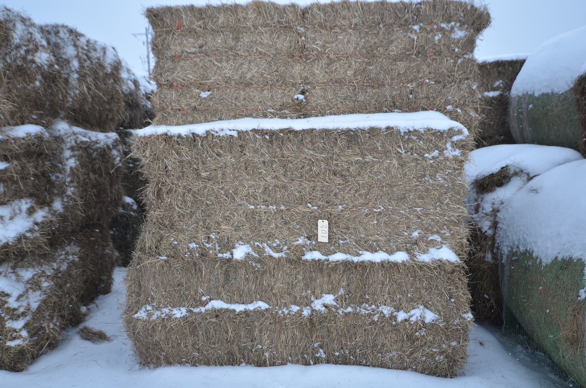 Hay - Large Squares, 1st Crop