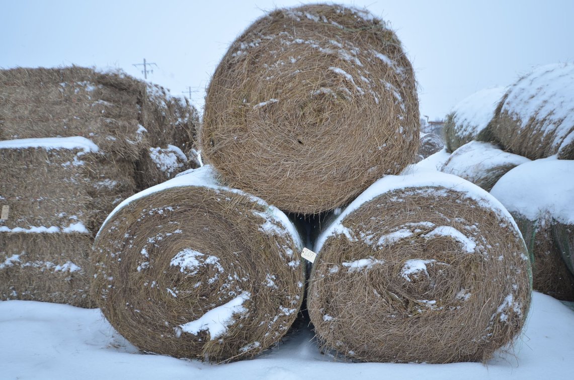 Hay - Large Rounds, 2nd Crop, Grass