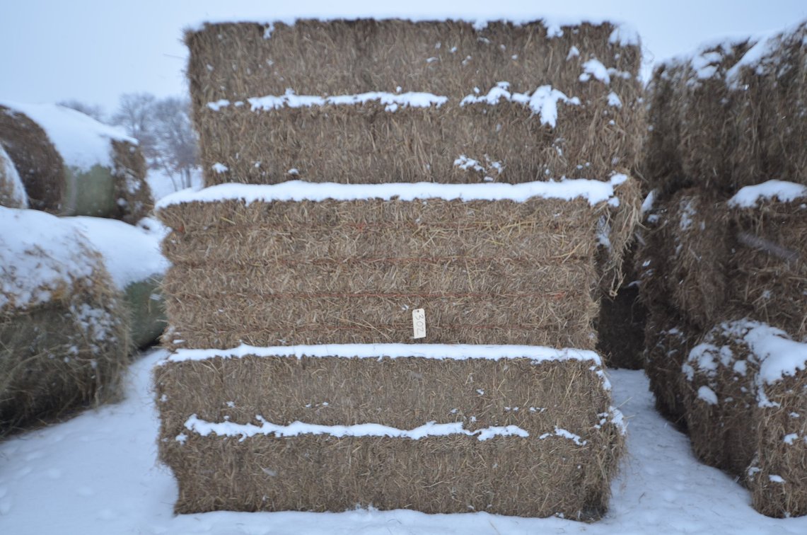Hay - Large Squares, 1st Crop