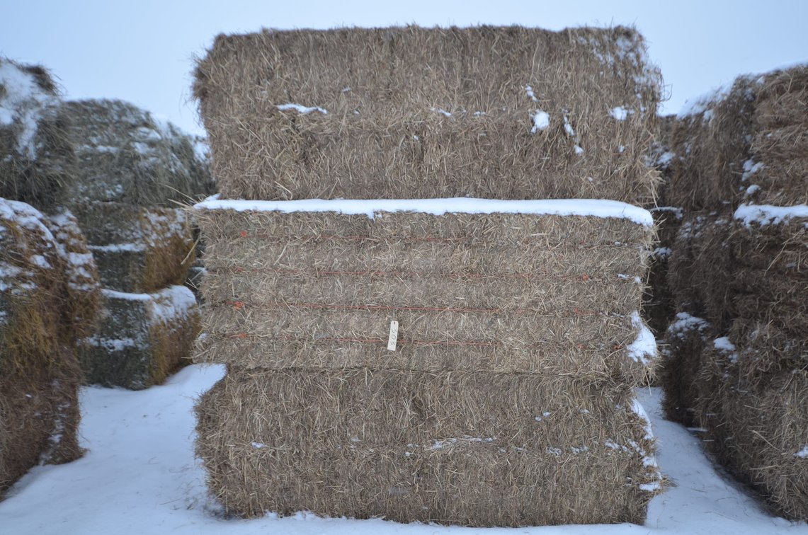 Hay - Large Squares, 1st Crop