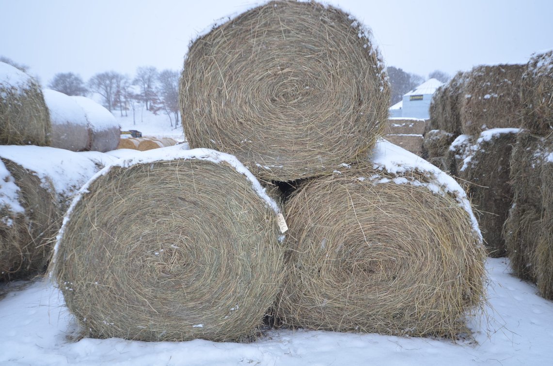 Hay - Large Rounds, 1st Crop