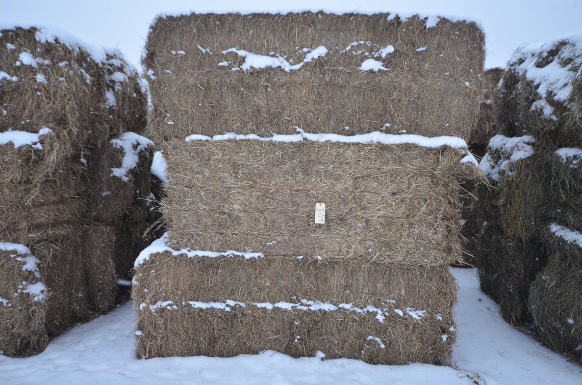 Hay - Large Squares, 1st Crop