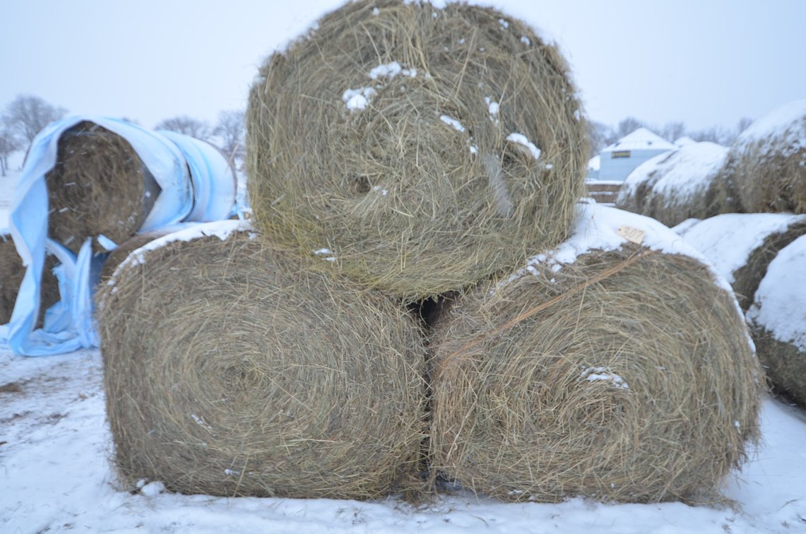 Hay - Large Rounds, 1st Crop