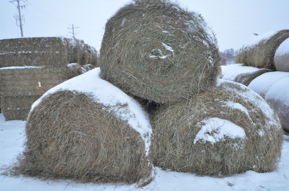 Hay - Large Rounds, 2nd Crop, Grass