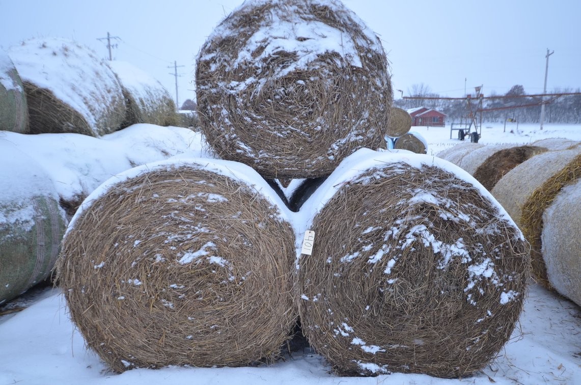 Hay - Large Rounds, 1st Crop