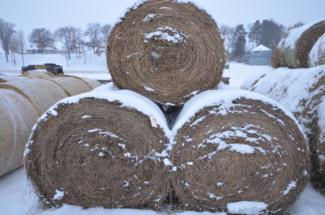 Hay - Large Rounds, 1st Crop