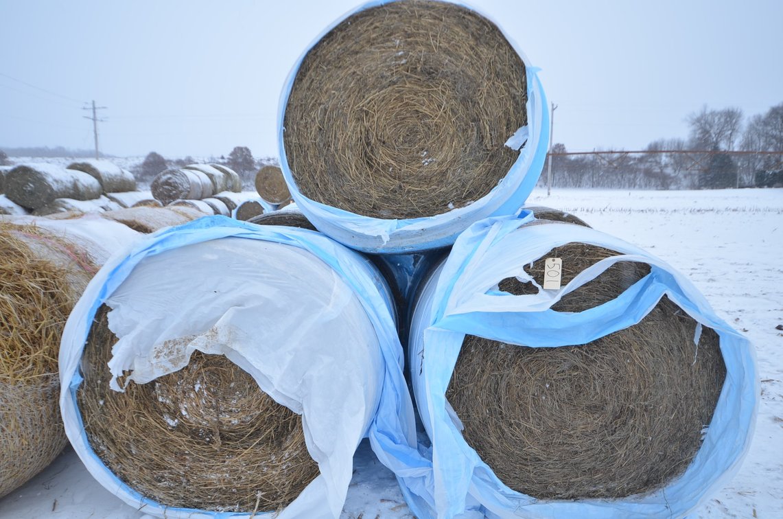 Hay - Large Rounds, 2nd Crop, Grass/Alfalfa