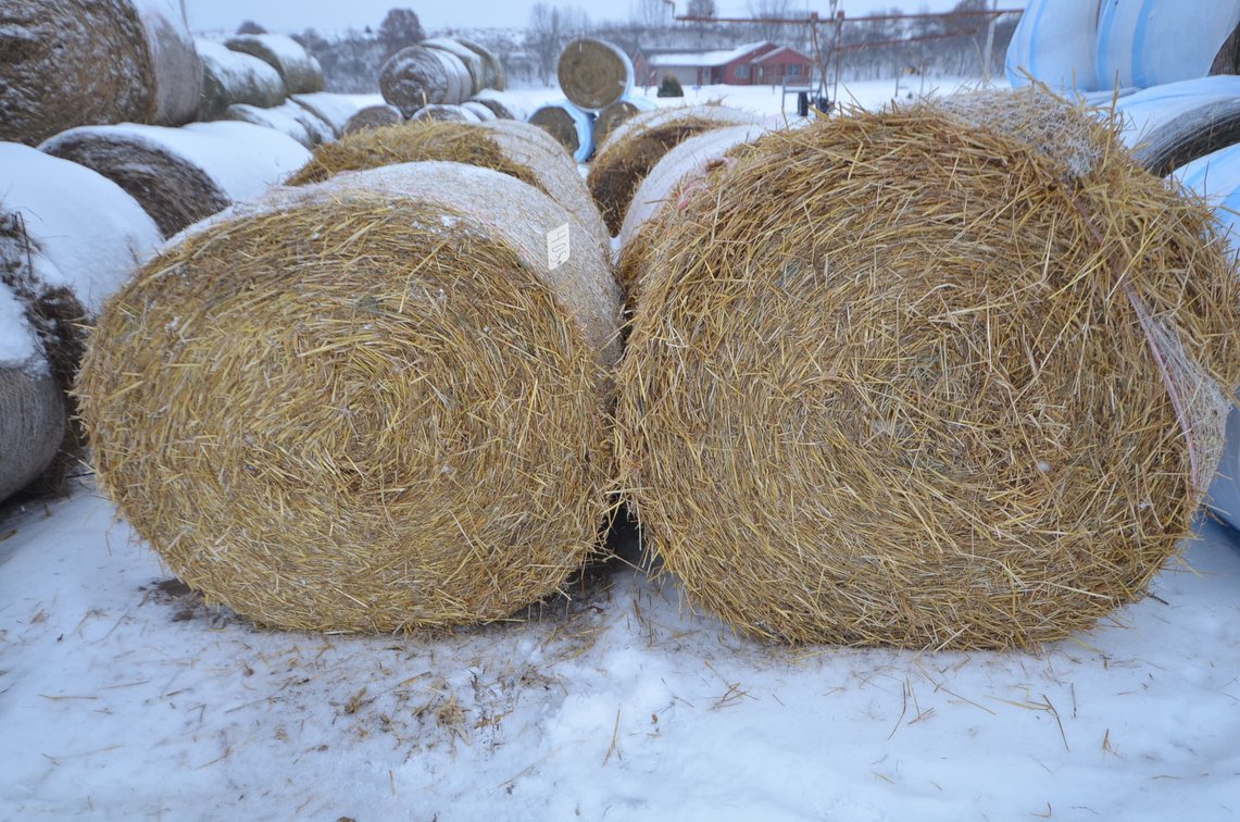 Oat Straw - Large Rounds