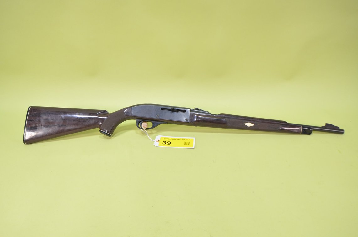 Remington Nylon 66 22LR Rifle