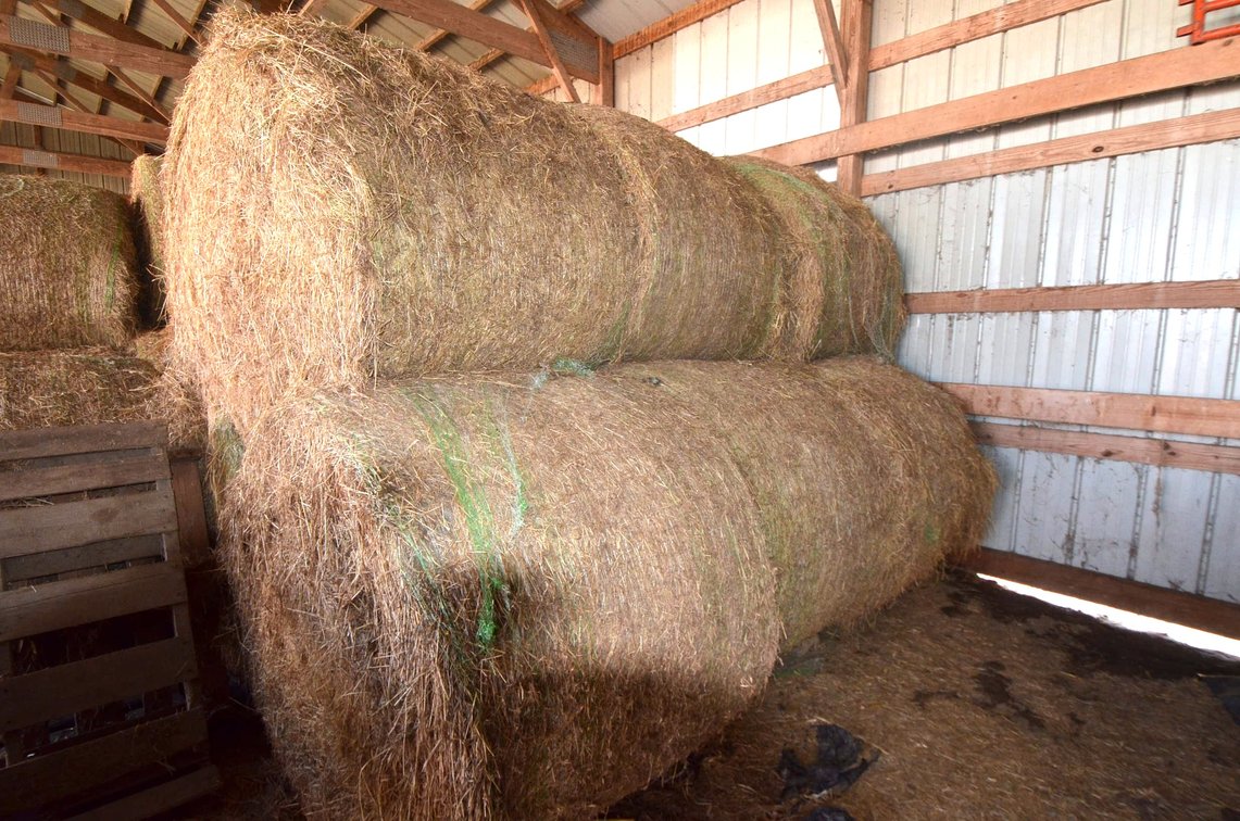 (13) Hay, 2nd & 3rd Crop, Large Rounds, 4x5
