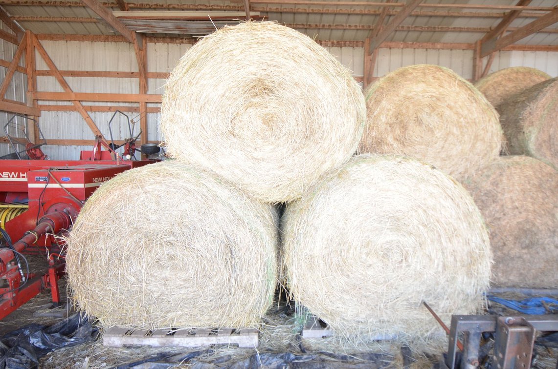 (16) Hay, 1st Crop, Large Rounds, 4x5