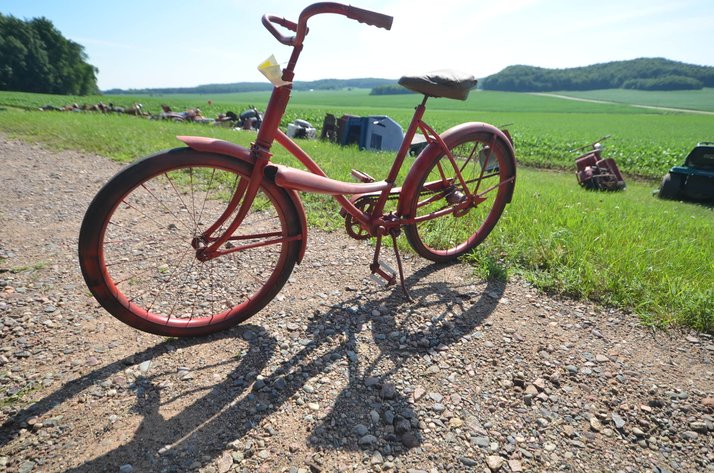 Image for Red Bicycle