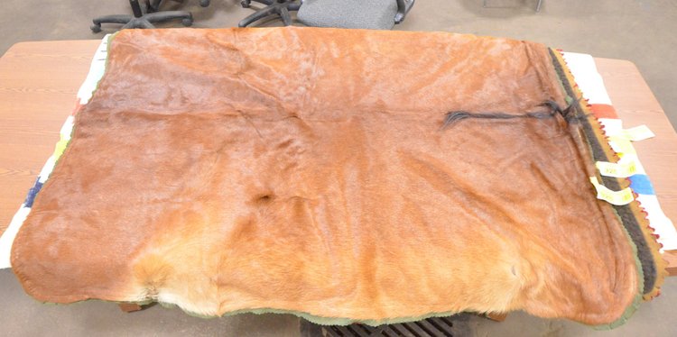 Image for Horse Hide Blanket With Backing
