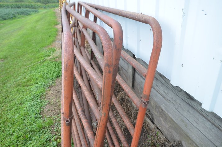Image for (4) 10 Ft Hanging Gate